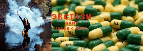 ГАЛЛЮЦИНОГЕННЫЕ ГРИБЫ Инта