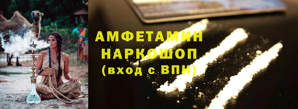 ГАЛЛЮЦИНОГЕННЫЕ ГРИБЫ Инта