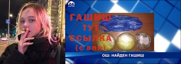 ГАЛЛЮЦИНОГЕННЫЕ ГРИБЫ Инта