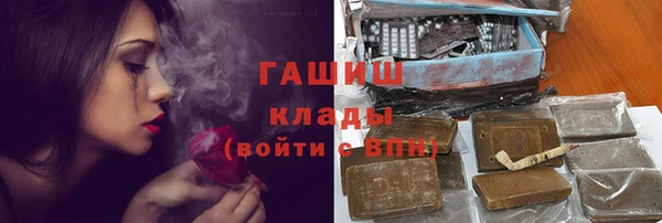 ГАЛЛЮЦИНОГЕННЫЕ ГРИБЫ Инта