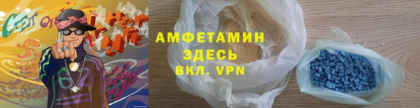 ГАЛЛЮЦИНОГЕННЫЕ ГРИБЫ Инта