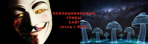 ГАЛЛЮЦИНОГЕННЫЕ ГРИБЫ Инта