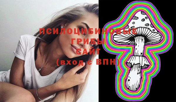 дживик Иннополис