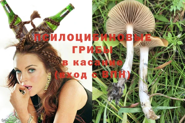 эйфоретик Инсар