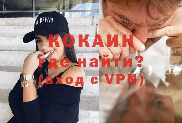 ГАЛЛЮЦИНОГЕННЫЕ ГРИБЫ Инта
