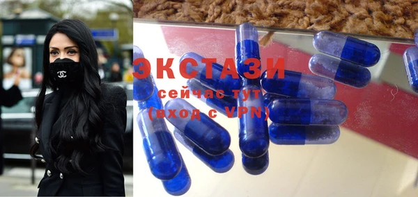 ГАЛЛЮЦИНОГЕННЫЕ ГРИБЫ Инта