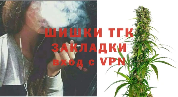 ГАЛЛЮЦИНОГЕННЫЕ ГРИБЫ Инта