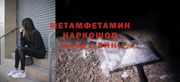 ГАЛЛЮЦИНОГЕННЫЕ ГРИБЫ Инта
