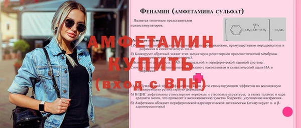 ГАЛЛЮЦИНОГЕННЫЕ ГРИБЫ Инта