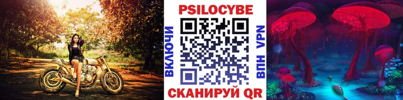 Галлюциногенные грибы GOLDEN TEACHER  Купить где  Вичуга 